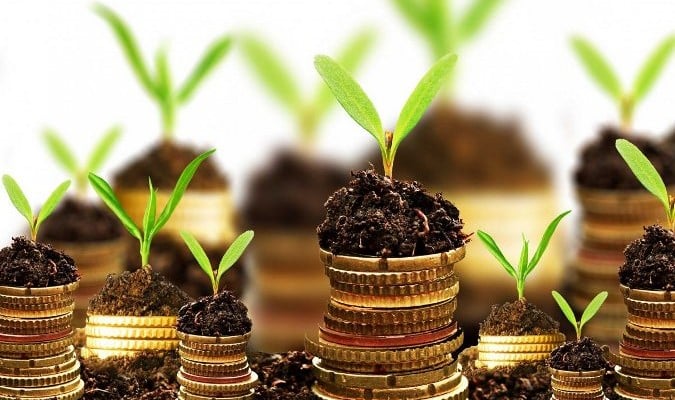 Chiến lược đầu tư